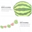Watermelon Banner and Cake Picks Set Beautiful Birthday Party Decorations for a Memorable Celebration